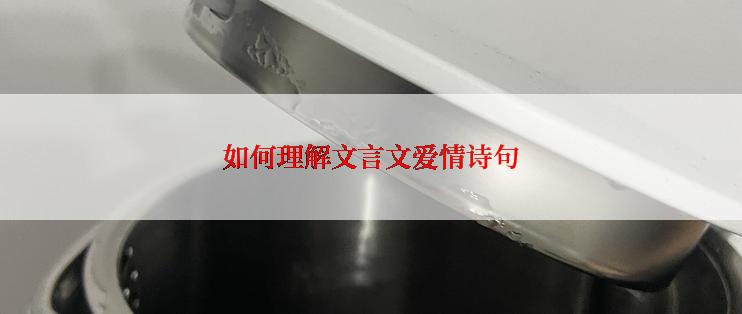 如何理解文言文爱情诗句