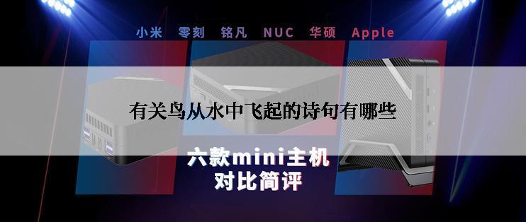 有关鸟从水中飞起的诗句有哪些