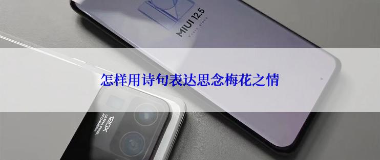 怎样用诗句表达思念梅花之情