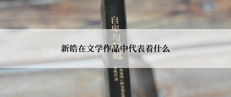 新皓在文学作品中代表着什么