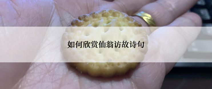 如何欣赏仙翁访故诗句