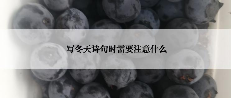  写冬天诗句时需要注意什么