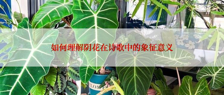 如何理解阴花在诗歌中的象征意义