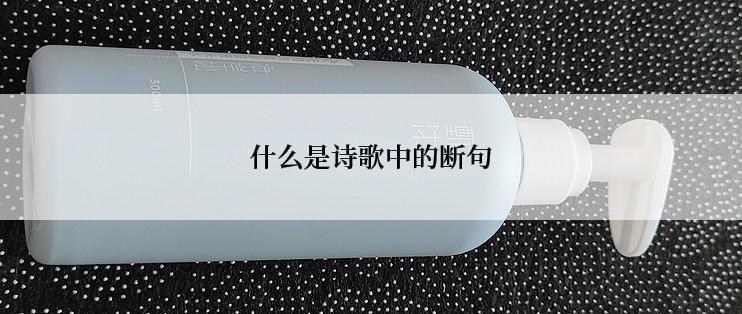 什么是诗歌中的断句