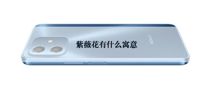  紫薇花有什么寓意