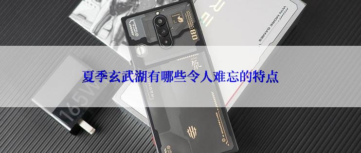 夏季玄武湖有哪些令人难忘的特点