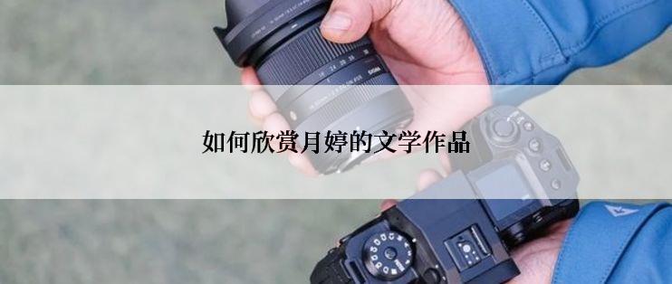 如何欣赏月婷的文学作品