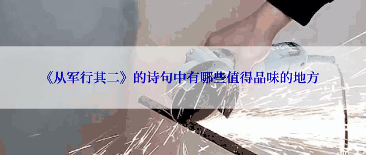 《从军行其二》的诗句中有哪些值得品味的地方