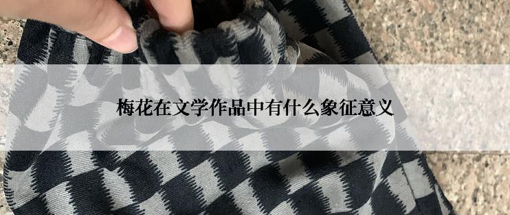 梅花在文学作品中有什么象征意义