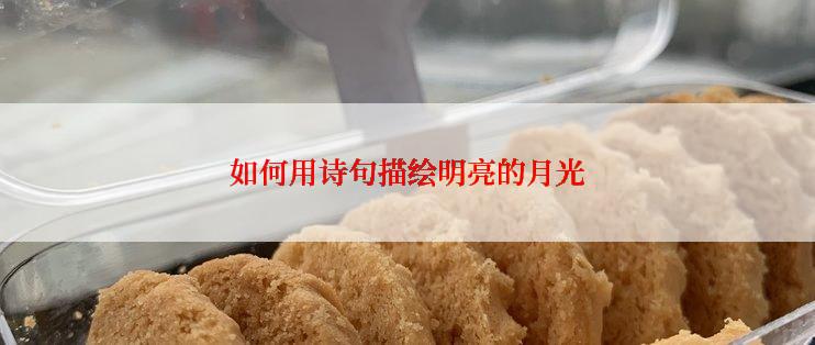 如何用诗句描绘明亮的月光