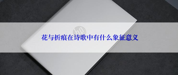  花与折痕在诗歌中有什么象征意义