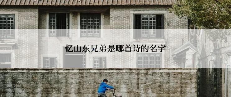 忆山东兄弟是哪首诗的名字