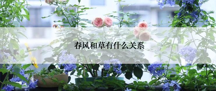  春风和草有什么关系