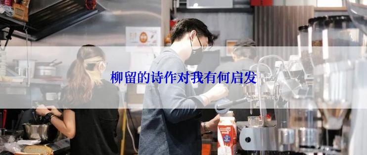 柳留的诗作对我有何启发