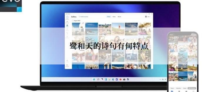 鹭和天的诗句有何特点