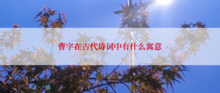 曹字在古代诗词中有什么寓意