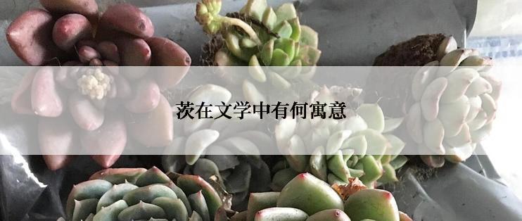 茨在文学中有何寓意