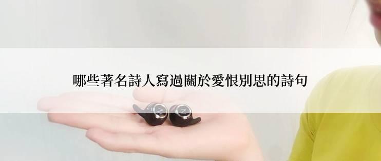 哪些著名詩人寫過關於愛恨別思的詩句