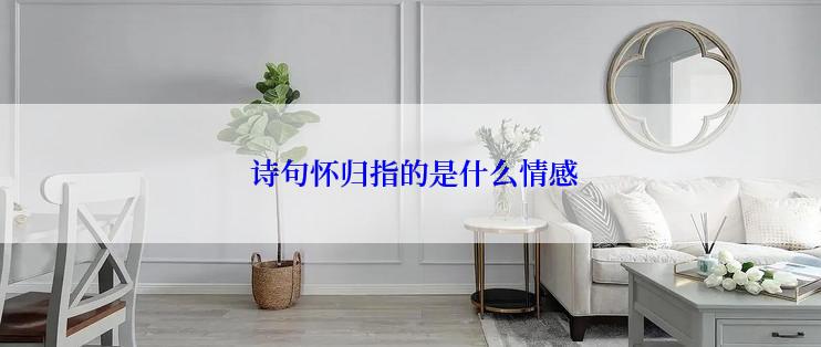  诗句怀归指的是什么情感