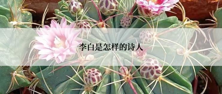 李白是怎样的诗人