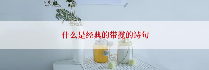  什么是经典的带揽的诗句