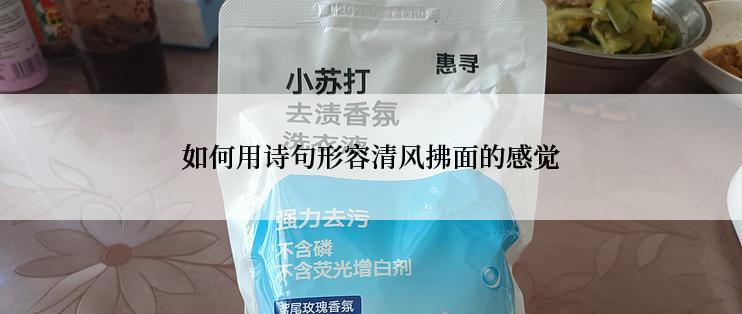 如何用诗句形容清风拂面的感觉