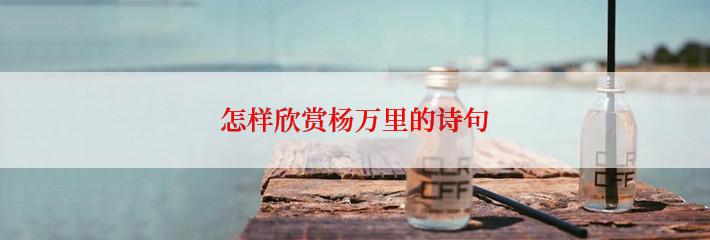 怎样欣赏杨万里的诗句