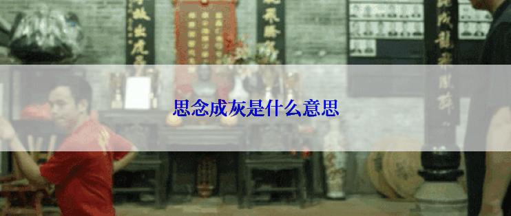 思念成灰是什么意思