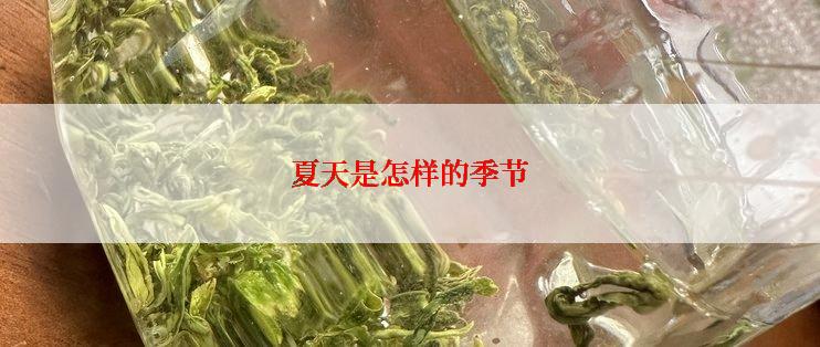 夏天是怎样的季节