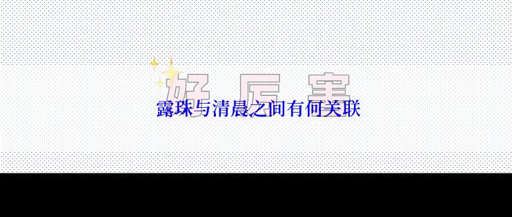  露珠与清晨之间有何关联