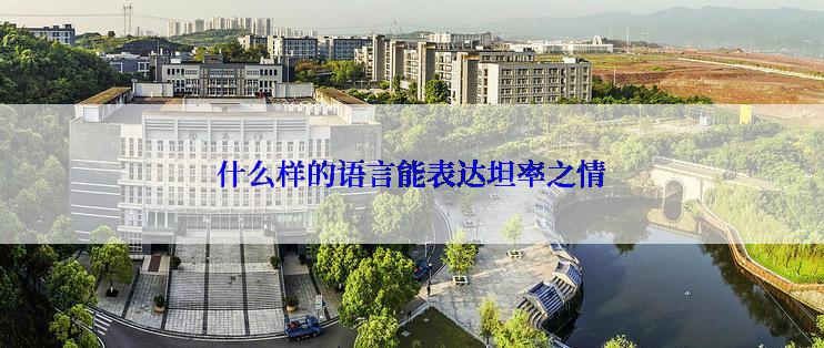 什么样的语言能表达坦率之情