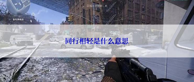 同行相轻是什么意思