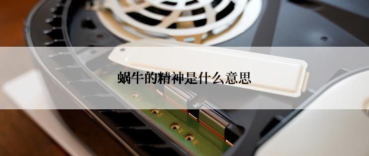 蜗牛的精神是什么意思