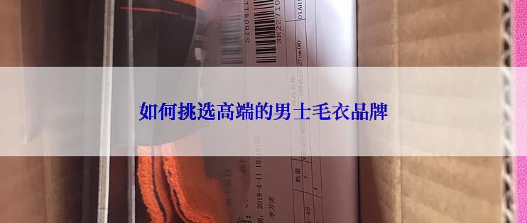 如何挑选高端的男士毛衣品牌