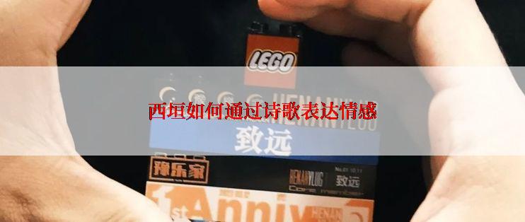 西垣如何通过诗歌表达情感