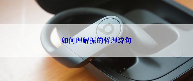 如何理解振的哲理诗句