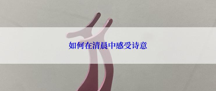 如何在清晨中感受诗意