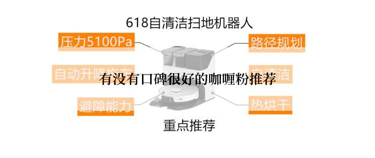 有没有口碑很好的咖喱粉推荐