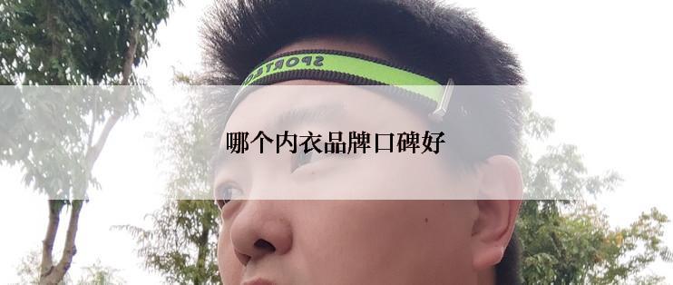 哪个内衣品牌口碑好