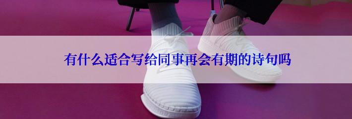  有什么适合写给同事再会有期的诗句吗