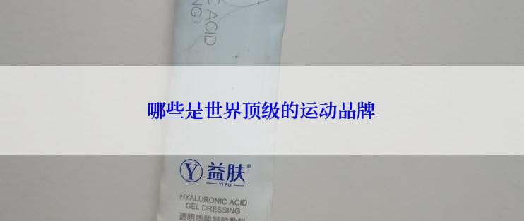 哪些是世界顶级的运动品牌