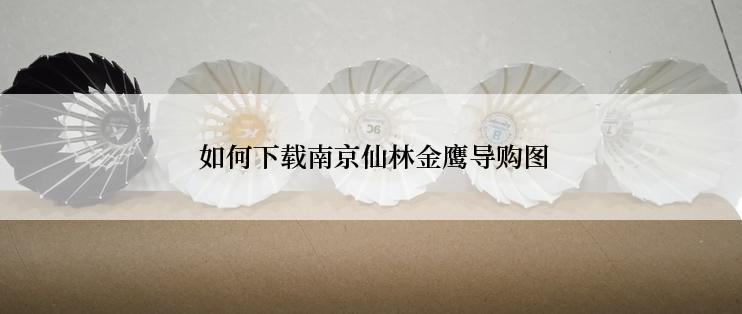  如何下载南京仙林金鹰导购图