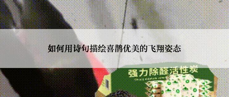 如何用诗句描绘喜鹊优美的飞翔姿态