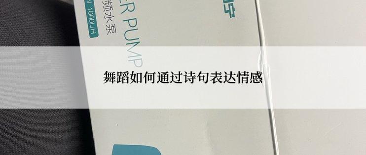 舞蹈如何通过诗句表达情感