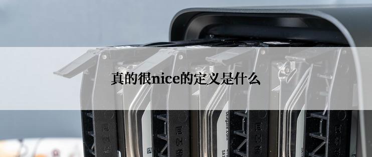 真的很nice的定义是什么