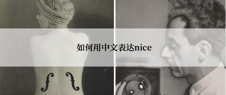  如何用中文表达nice