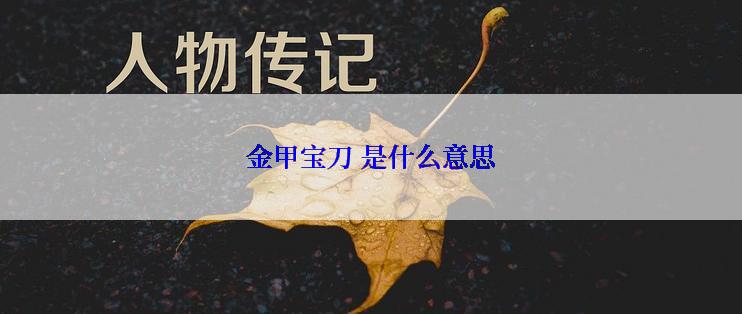 金甲宝刀 是什么意思