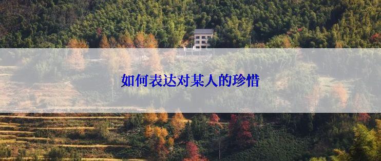 如何表达对某人的珍惜