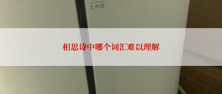 相思诗中哪个词汇难以理解