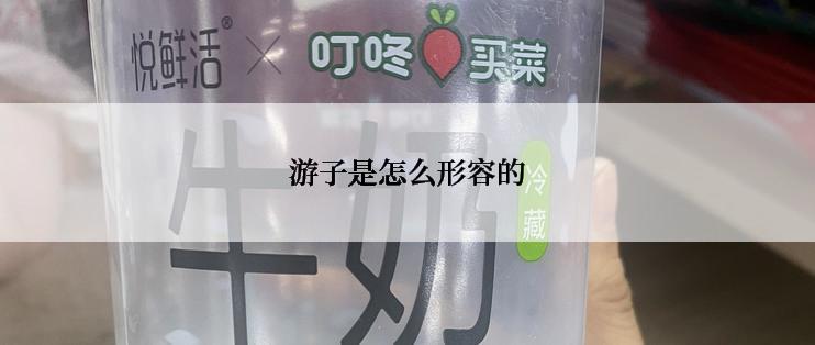 游子是怎么形容的